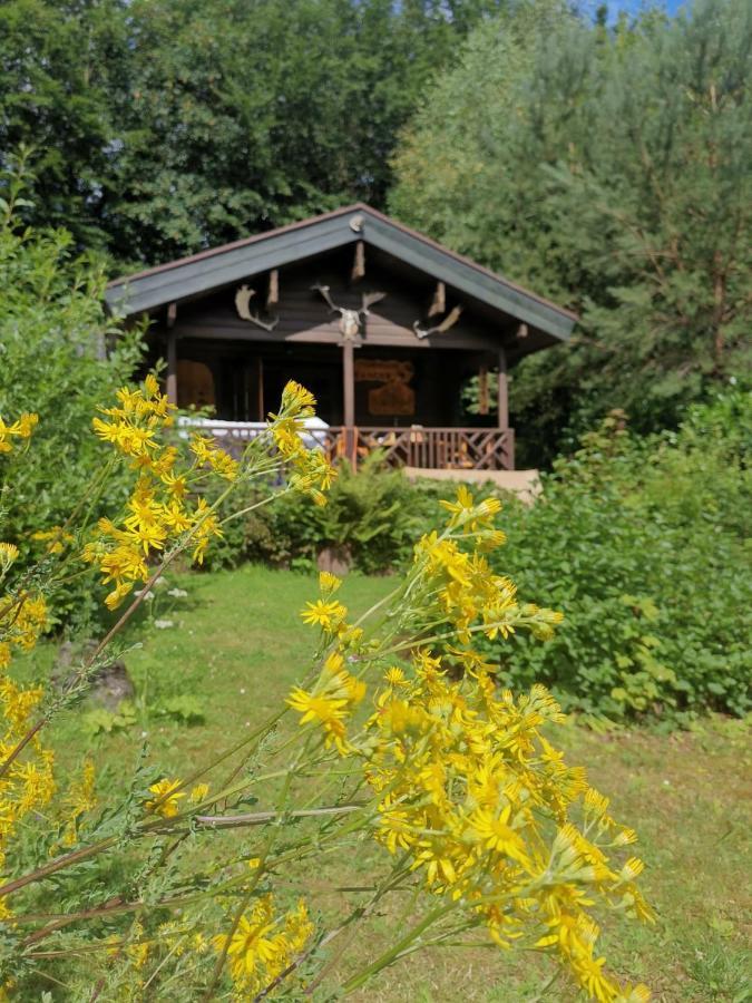 Blockhaus Am Twistesee Mit 3 Schlafzimmern Bad Arolsen Luaran gambar